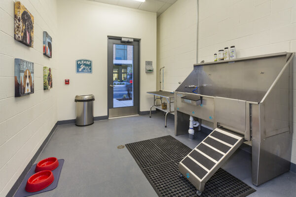 Pet wash with grooming table and metal washing basin.